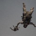 82nd ERQS Performs HALO Jump Ops