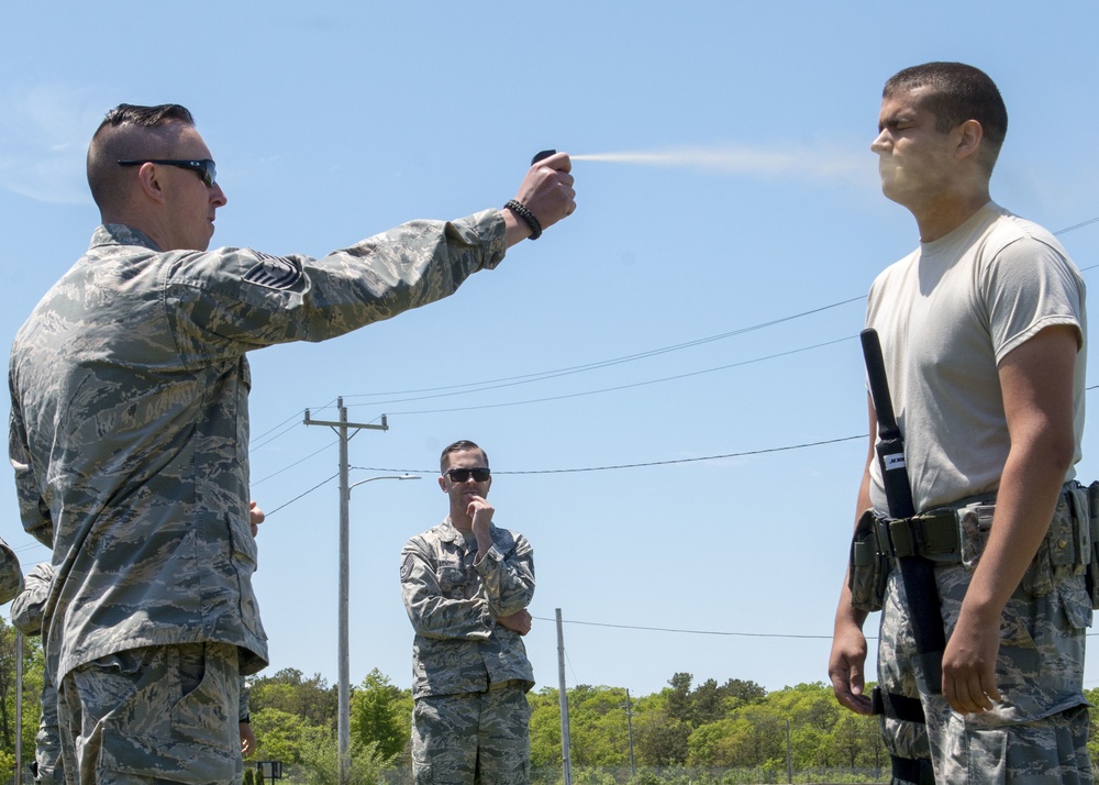 102nd Security Forces Defenders conduct pepper spray training