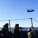 Aussies Take on Sea Series 18