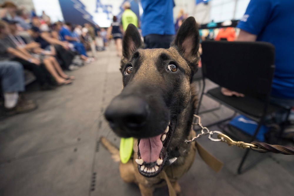 2018 DoD Warrior Games