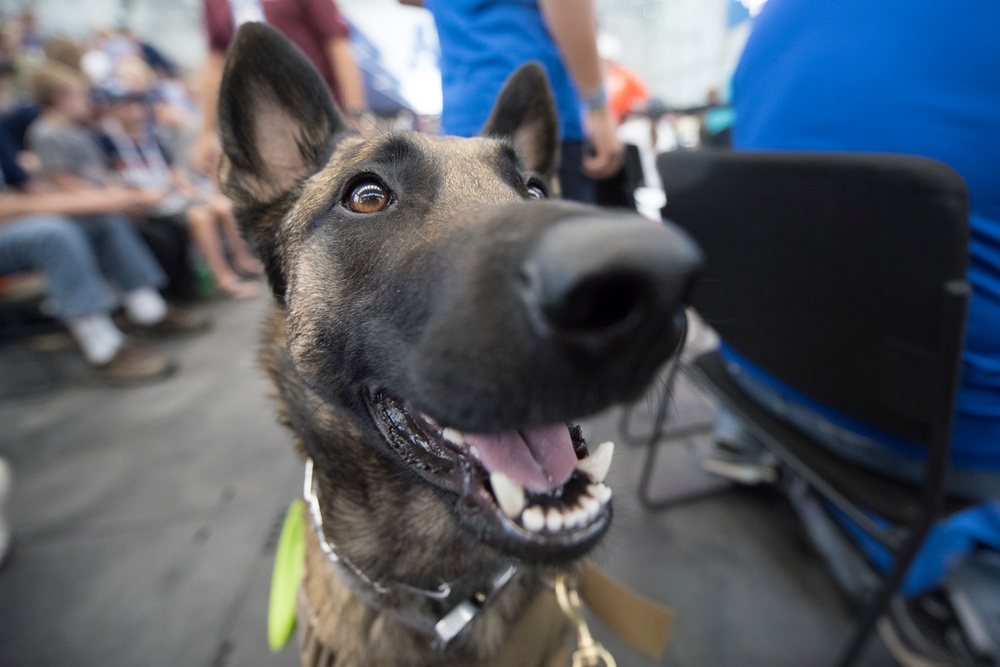 2018 DoD Warrior Games