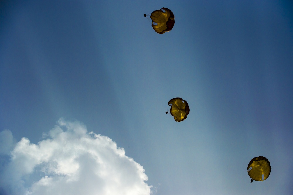 U.S. American and French Armed Forces parachute together on D-Day 74th Anniversary