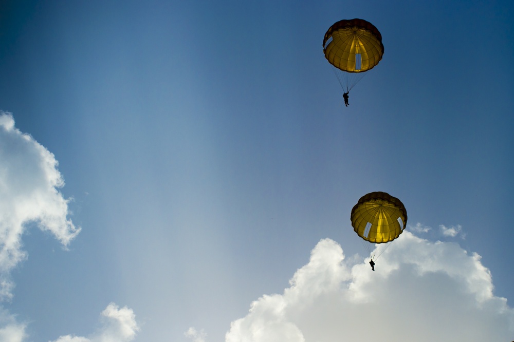 U.S. American and French Armed Forces parachute together on D-Day 74th Anniversary