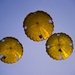 U.S. American and French Armed Forces parachute together on D-Day 74th Anniversary