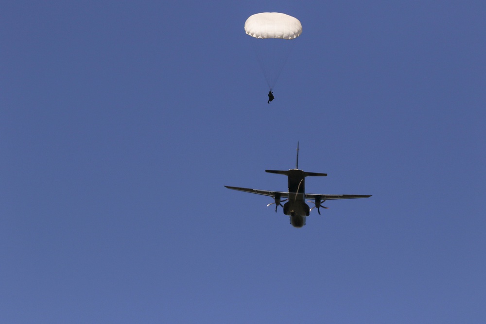 Polish Airborne Jump