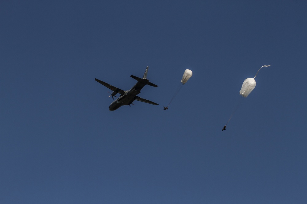 Polish soldiers land successfully for Saber Strike 18
