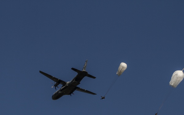 Polish soldiers land successfully for Saber Strike 18