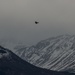 JBER birds take to the Alaska skies