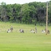 Weapons training for CSTX 86-18-04 at Fort McCoy