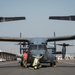 Ospreys arrive to Japan