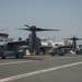 Ospreys arrive to Japan