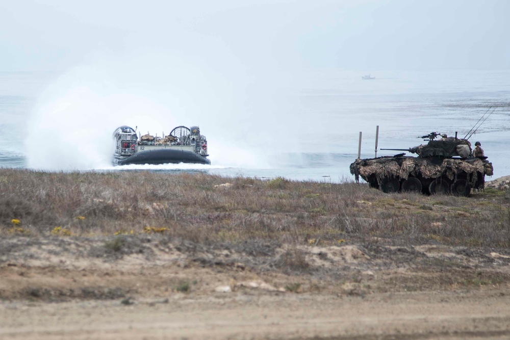 Battalion Landing Team Light Armored Reconnaissance