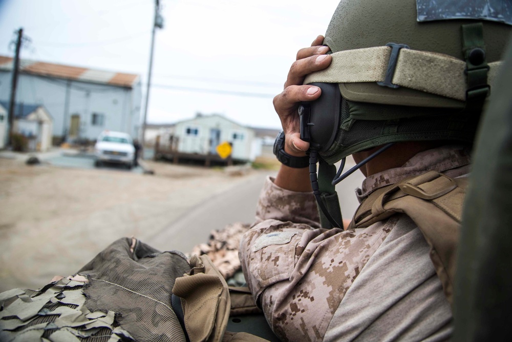 Battalion Landing Team Light Armored Reconnaissance