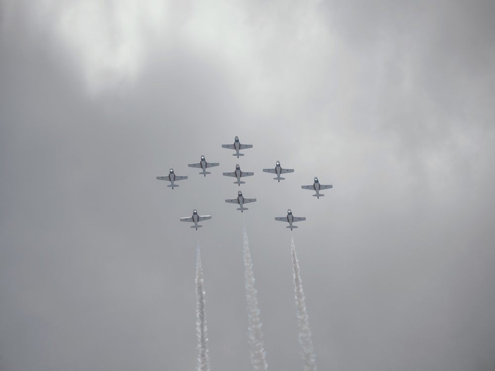 CF Snowbirds Perform for First Time at Niagara
