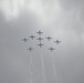 CF Snowbirds Perform for First Time at Niagara