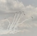 CF Snowbirds Perform for First Time at Niagara
