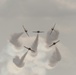 CF Snowbirds Perform for First Time at Niagara