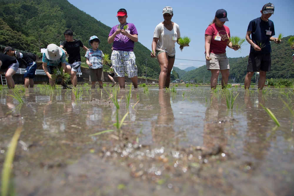 Station residents take to the fields, plant rice