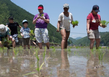 Station residents take to the fields, plant rice