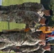 New Battalion Commander for 2-69 Panthers