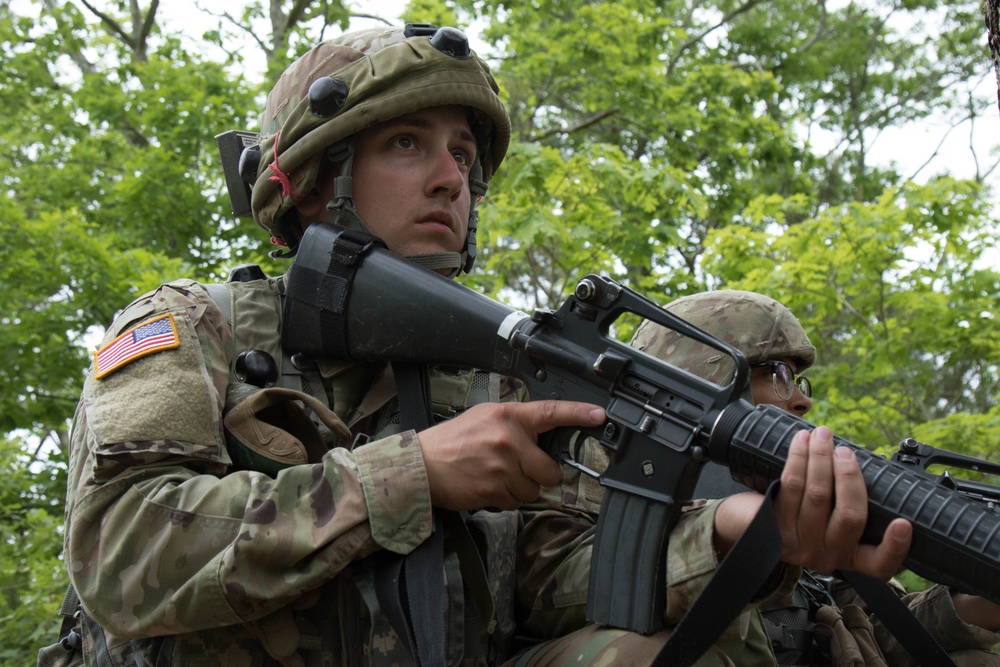 Soldiers search woods for hostile forces during Combined Arms Exercise