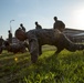 Lejeune hosts Force Fitness Instructor Course