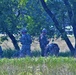 Operations for Combat Support Training Exercise 86-18-04 at Fort McCoy