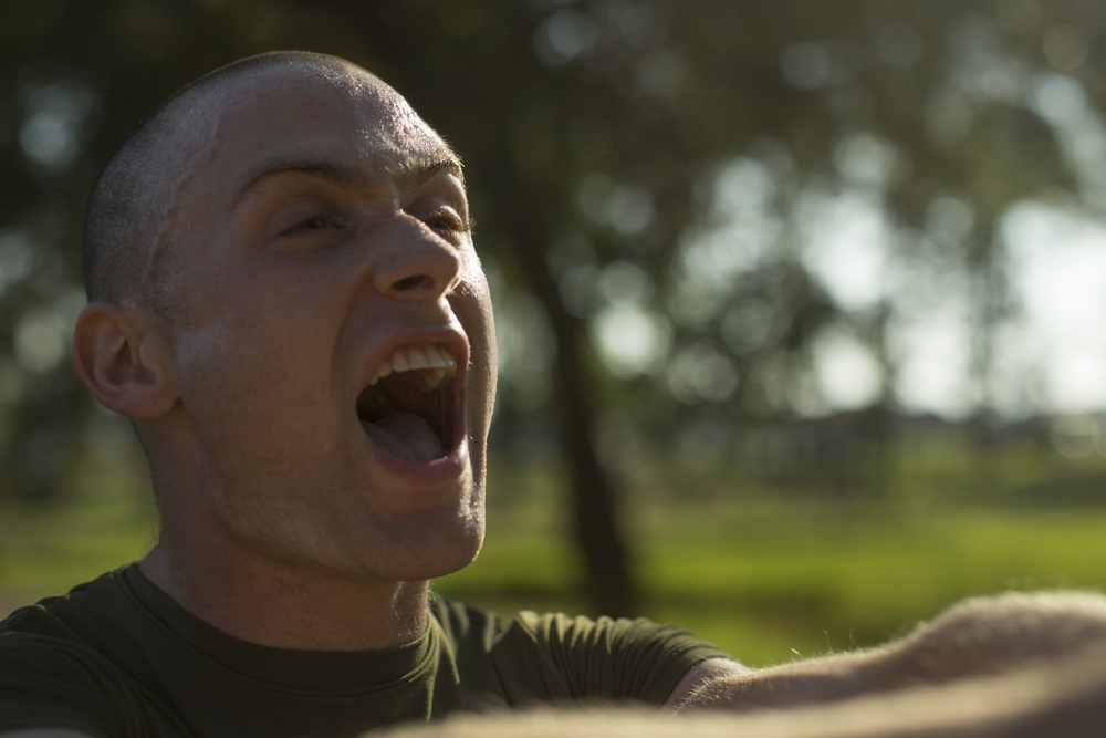 Marine Recruits Overcome Fears on Parris Island Confidence Course