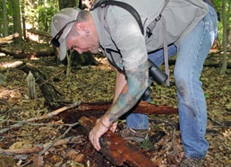 Army Corps conducts avian and herp surveys at Adelphi Lab