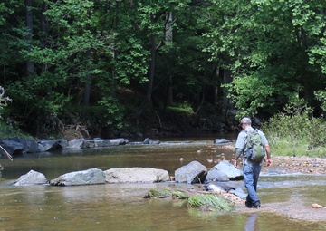 Army Corps conducts avian and herp surveys at Adelphi Lab