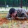 2018 U.S. Army Reserve Best Warrior Competition