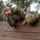 2018 U.S. Army Reserve Best Warrior Competition