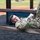 2018 U.S. Army Reserve Best Warrior Competition