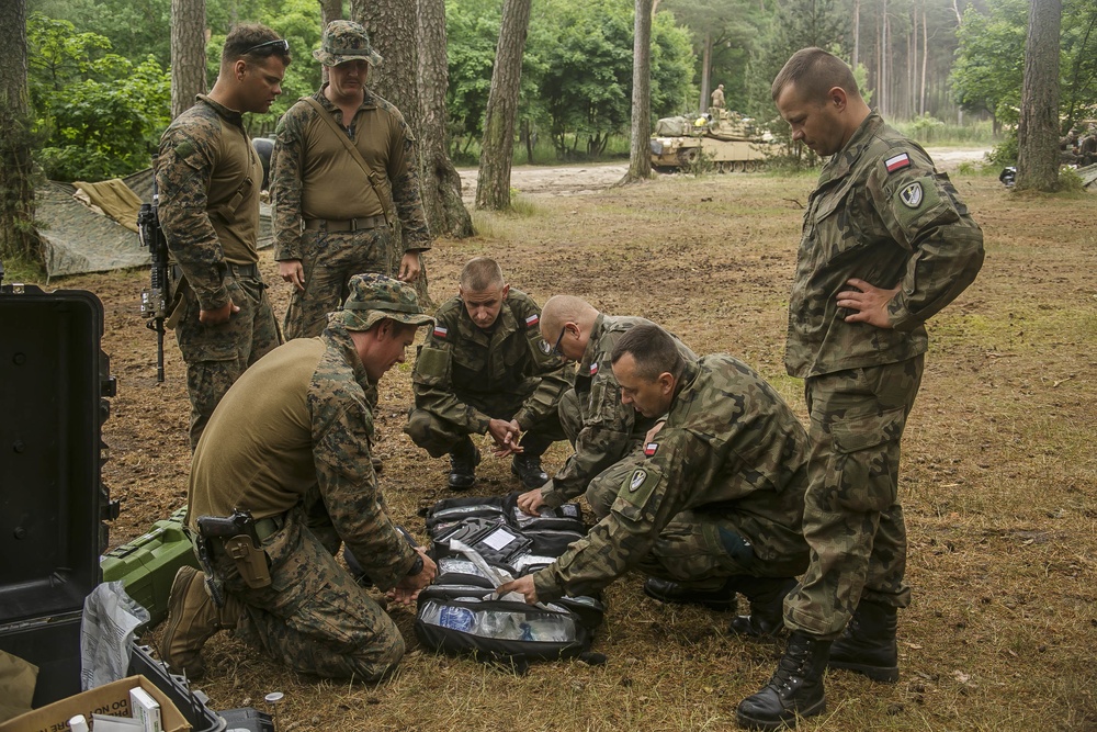 BLT 2/6 Corpsmen, Polish Land Forces medics interact during BALTOPS