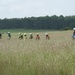 Firefighters Ansbach 24 Hours Exercise