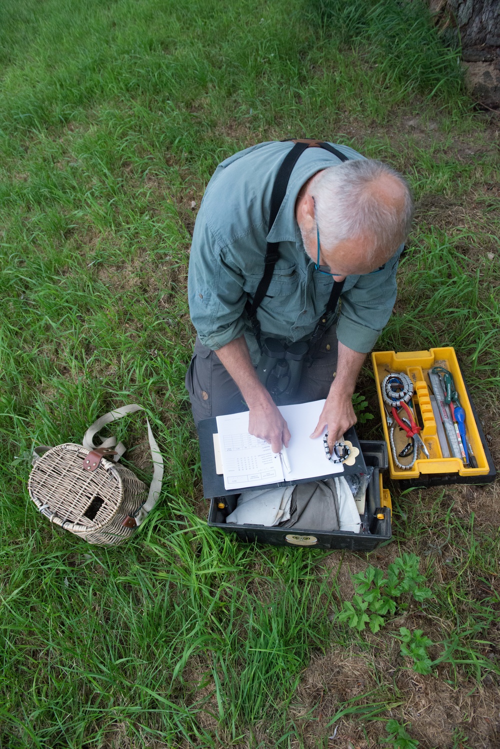 Protected Birds Banding