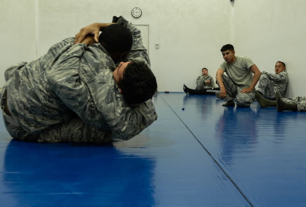 Wrestling for the win: 18th SFS trains for 2018 Defenders Challenge