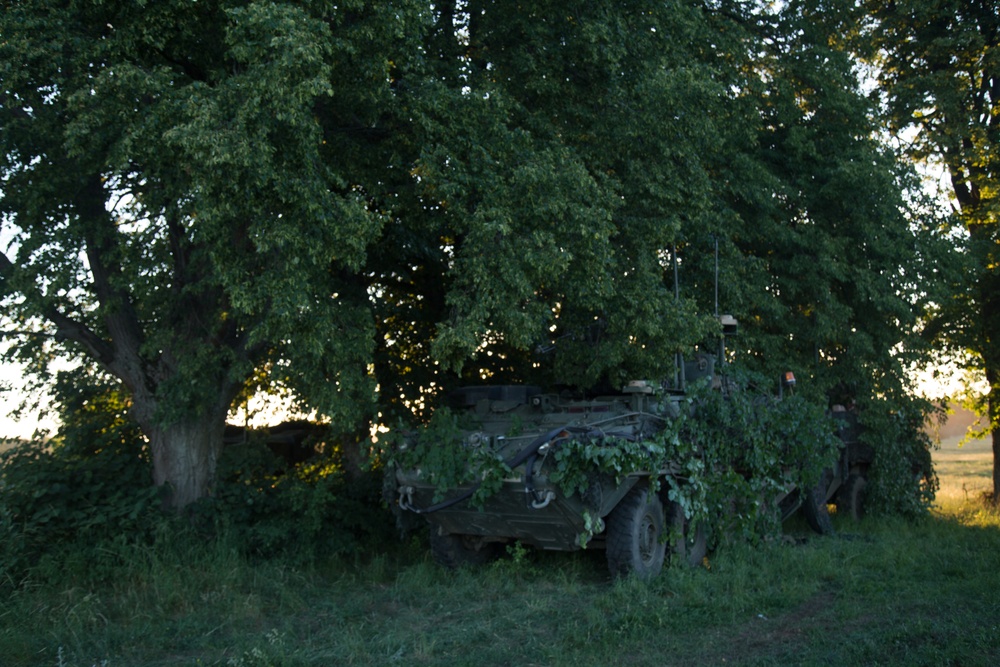 Camouflaged Stryker staged in defense