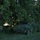Camouflaged Stryker staged in defense