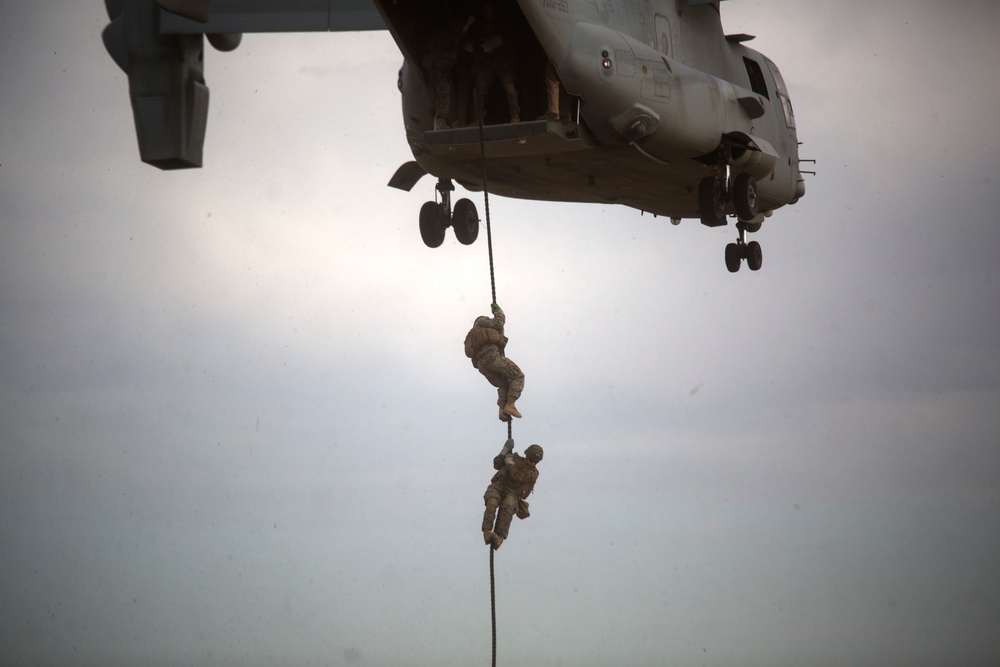 75 feet of flight line: 1st Battalion, 6th Marines Practice Fast-roping Operations