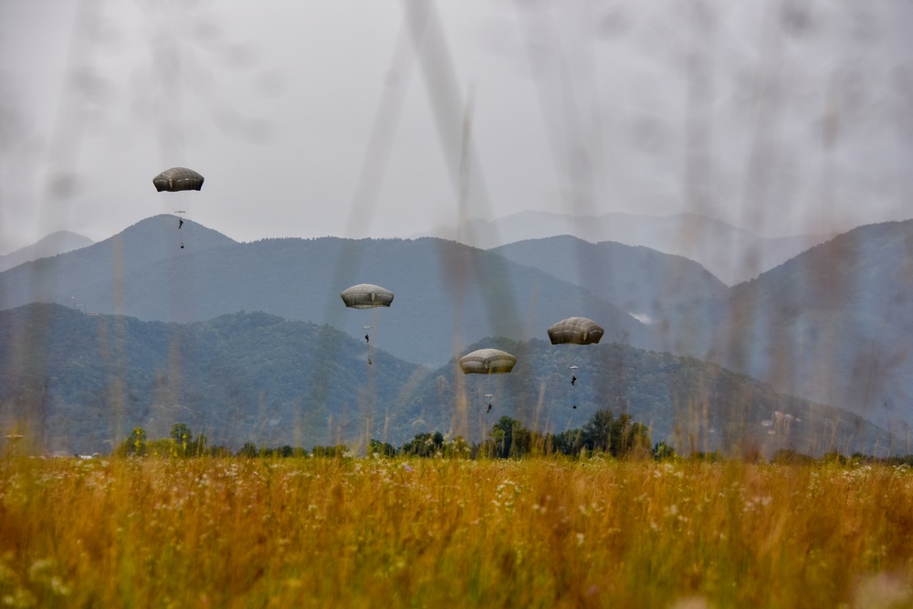 Concealed view of paratroopers