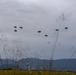 Raining Paratroopers on a Grassy Field