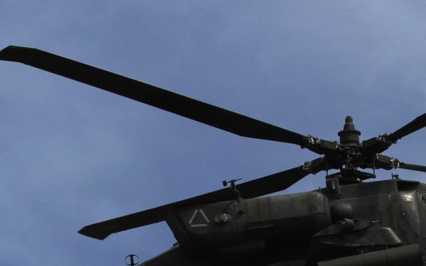 Battle Group Poland culminates exercise of Saber Strike 18