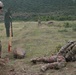 3-61 CAV troops shoot, move, communicate: live fire buddy range