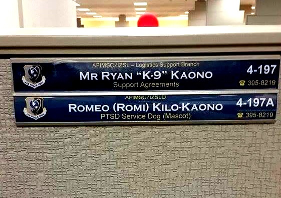 Ryan Kaono: Living with PTSD