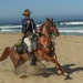 Horse Det. visits the Presidio of Monterey, Calif.