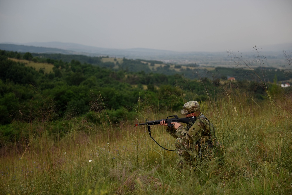 Ohio National Guard builds partnerships at Platinum Wolf 2018