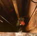 District dangles dummy to get smart on confined space safety