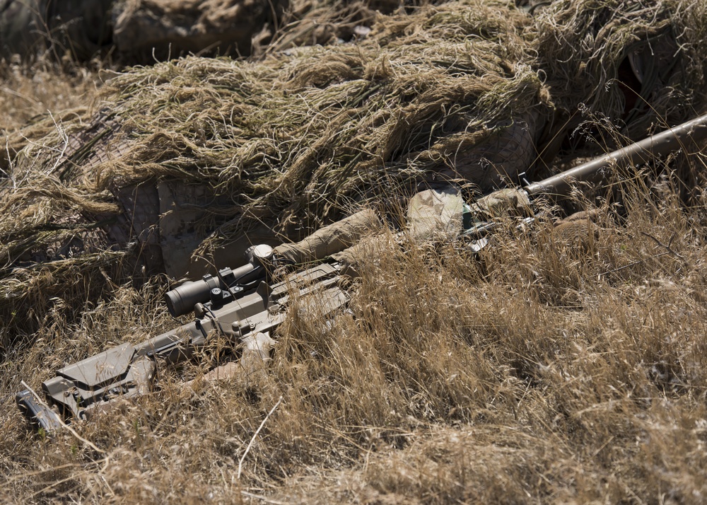 Idaho Army National Guard sniper training