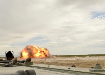 National Guard, Army Reserve combat engineers clear obstacles, build interoperability